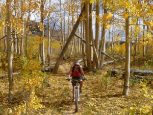 Escalante Mountain Biking | Escape Adventures