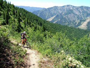 Idaho Singletrack Mountain Bike Tours