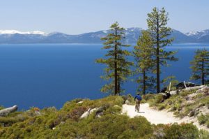 Lake Tahoe Mountain Biking Tours