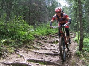 New Mexico Rockies Singletrack Mountain Bike Tour