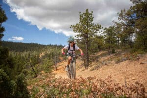 A peaceful bike ride surrounded by beautiful nature | Bryce and Zion Bike Tour by Escape Adventures