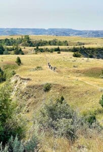 North Dakota Maah Daah Hey Singletrack Mountain Bike Tour | Escape Adventures