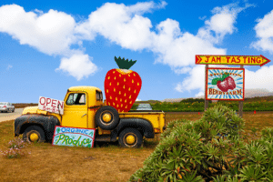 Berry Farm San Juan Islands | Escape Adventures Bike Tours