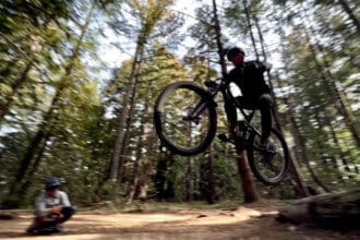 Santa Cruz Mountain Biking | Escape Adventures Bike Tours