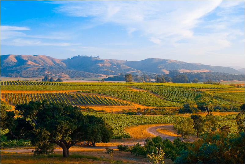 Touring Wine Country by Bicycle
