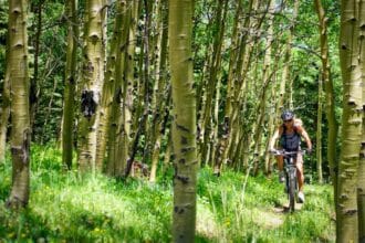singletrack mountain biking through the trees in New Mexico