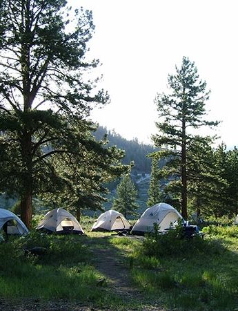 Tents in Meadow