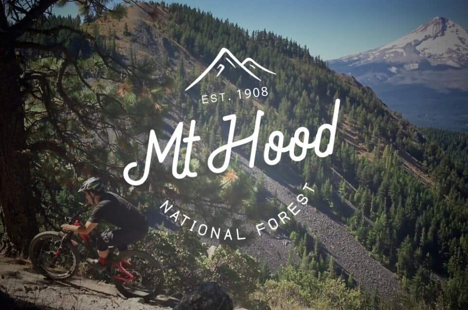 Mount Hood to Columbia River Gorge – Mountain Bike Tour with Escape Adventures