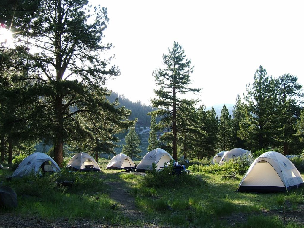 Camping Gear: Tents in a Meadow
