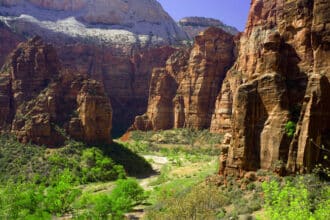 View of the main canyon in Zion national park | BZ road bike tours with Escape Adventures