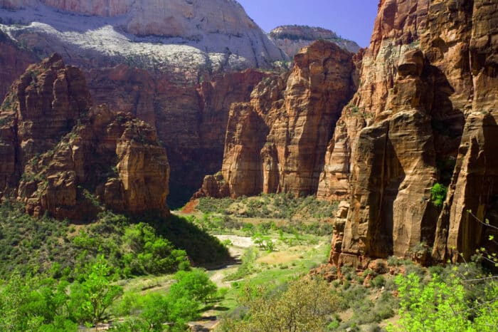 View of the main canyon in Zion national park | BZ road bike tours with Escape Adventures