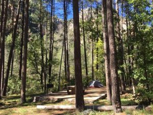 Pine Flats Campground | Escape Adventures Bike Tour Lodging