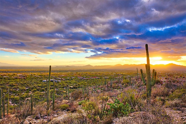 Check out our Arizona road bike tour this fall and winter