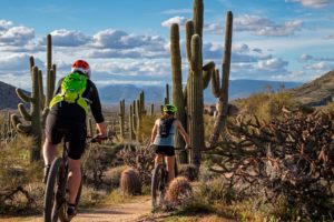 Phoenix Arizona Mountain Bike Tours