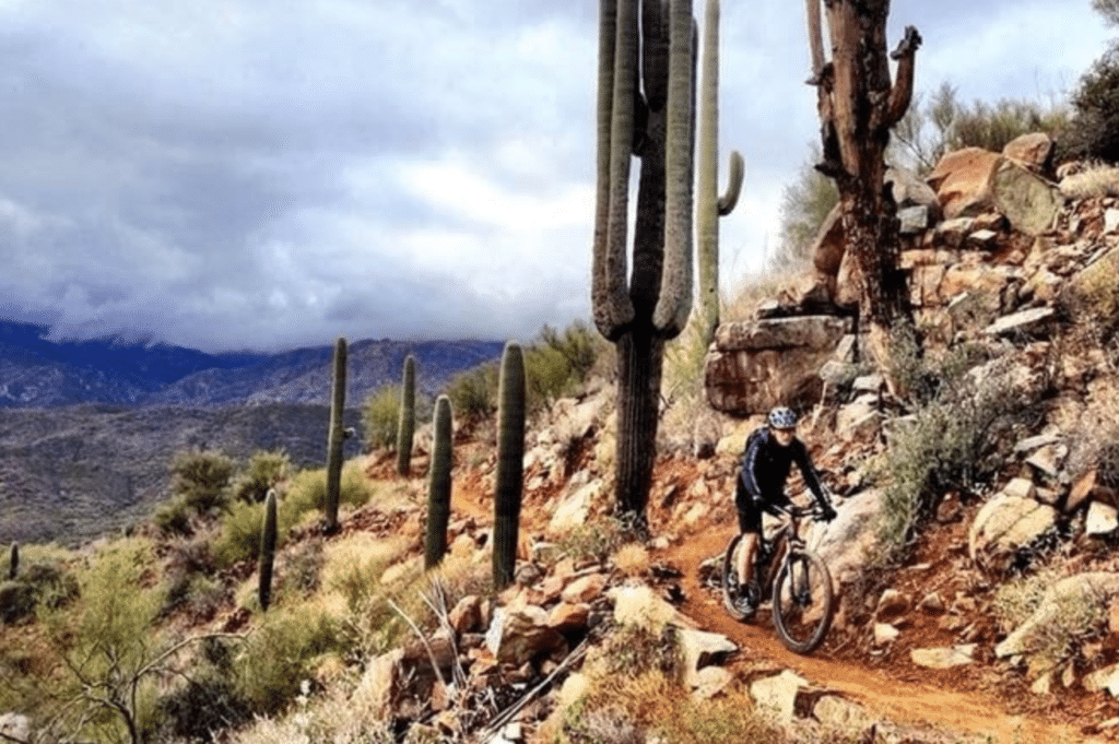 Best of Phoenix Mountain Bike Tour