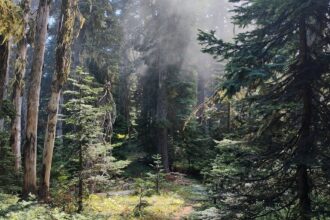 Mount St. Helens mountain biking