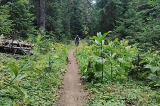Mount St. Helens mountain biking
