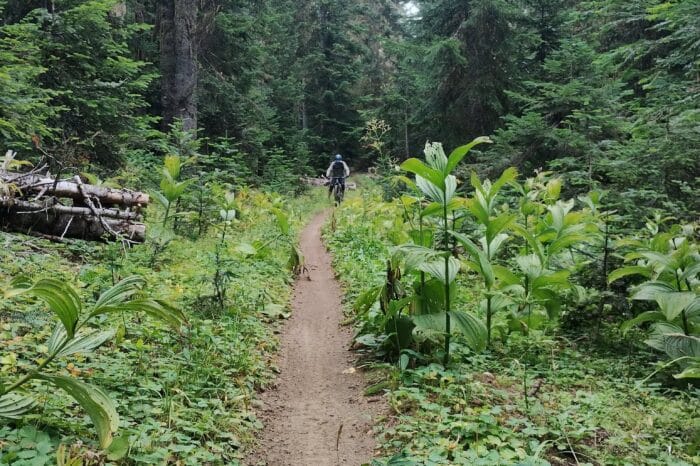 Mount St. Helens mountain biking