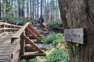Mount St. Helens mountain biking