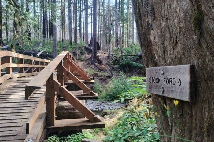 Mount St. Helens mountain biking
