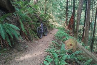 Mount St. Helens mountain biking