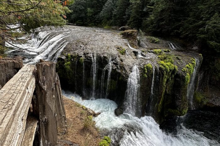 Mount St. Helens mountain biking