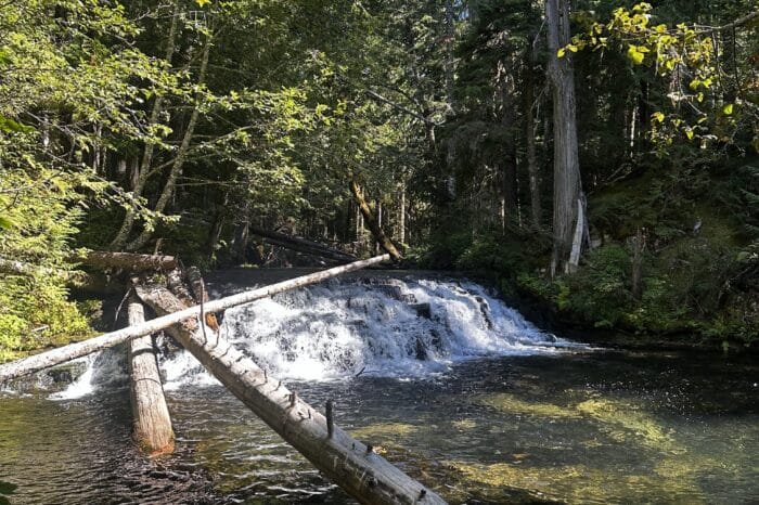 Mount St. Helens mountain biking