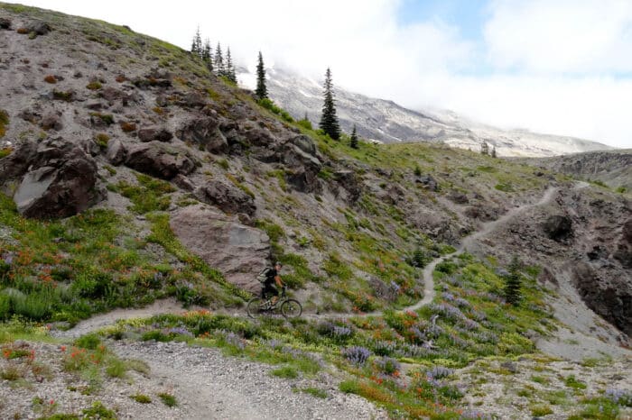Mount Saint Helens, Washington, Mountain Biking with Escape Adventures