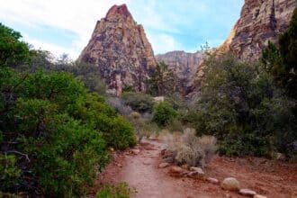 On a hiking path in Red Rock Canyon with with Escape Adventures