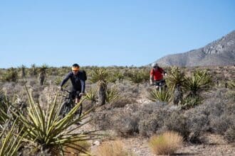 Las Vegas Red Rock Mountain Biking Tours with Escape Adventures