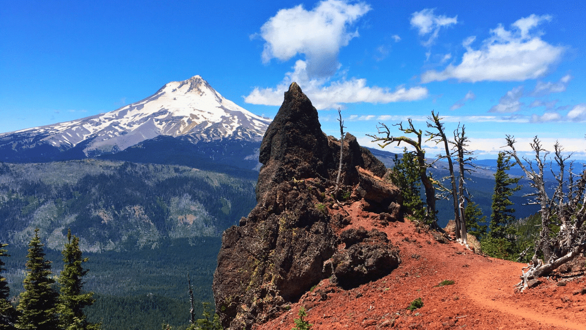 View of Mount Hood from Lookout Mountain 