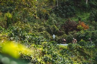 El Sifón Bike Ride Colombia